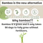 Eco-Friendly Bamboo Toilet Paper - 3-Ply, 12 Rolls