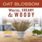Mrs. Meyer's Oat Blossom Hand Soap - Pack of 3