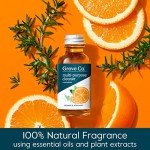 Eco-Friendly Multi-Purpose Cleaner Bundle with Spray Bottle