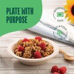 Compostable Soup Bowls - 12 oz, 125-Pack