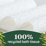 Eco-Friendly 100% Recycled Toilet Paper, 24 Rolls
