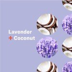 Eco-Friendly Liquid Hand Soap, Lavender Coconut, 3-Pack