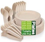 250 Compostable Paper Plates & Long Utensils Set