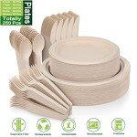 250 Compostable Paper Plates & Long Utensils Set