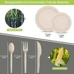 250 Compostable Paper Plates & Long Utensils Set