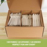 380 Count Compostable Cutlery Set – Eco-Friendly Essentials