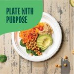 Compostable 10" Bagasse Eco-Friendly Disposable Plates