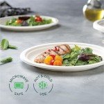 Compostable 10" Bagasse Eco-Friendly Disposable Plates