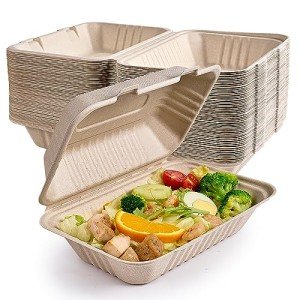 75 Pack Compostable Take Out Food Containers