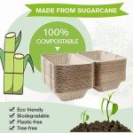 75 Pack Compostable Take Out Food Containers