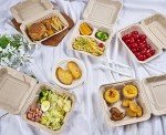 75 Pack Compostable Take Out Food Containers