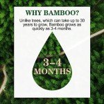 Eco-Friendly Bamboo Toilet Paper - 18 Rolls