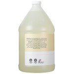 Ginger Lily Farms Vegan Hand Soap Refill, 1 Gallon