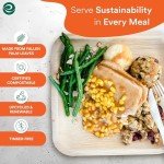 Compostable Palm Leaf Square Plates - 50 Count