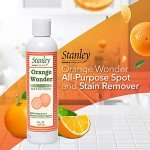 Eco-Friendly All-Purpose Spot and Stain Remover