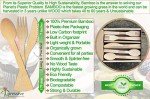 Eco-Friendly 100% Bamboo Disposable Cutlery Set
