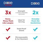 Dixie Eco-Friendly 10-Inch Paper Plates, 204 Count