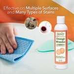 Eco-Friendly All-Purpose Spot and Stain Remover