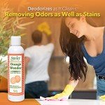 Eco-Friendly All-Purpose Spot and Stain Remover