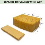 Eco-Friendly Pop Up Sponges (10 Pack)