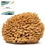 Gentle Eco-Friendly Natural Sea Sponge for Bathing