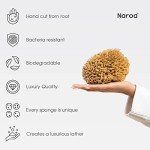 Gentle Eco-Friendly Natural Sea Sponge for Bathing