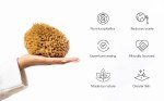 Gentle Eco-Friendly Natural Sea Sponge for Bathing