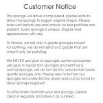 Gentle Eco-Friendly Natural Sea Sponge for Bathing