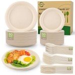 Eco-Friendly Compostable Paper Plates & Utensils Set