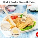 Eco-Friendly Compostable Paper Plates & Utensils Set