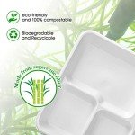 Compostable 5-Compartment Sugarcane Plates - 125 Pack