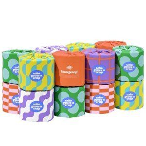 Eco-Friendly 100% Recycled Toilet Paper Rolls