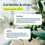 Eco-Friendly Dish Soap Refill - Olive & Coriander