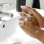 Ginger Lily Farms Vegan Unscented Hand Soap Refill