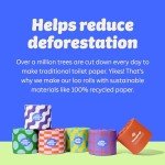 Eco-Friendly 100% Recycled Toilet Paper Rolls