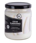 Vanilla Bean Eco-Friendly Odor Eliminating Candle