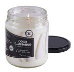 Vanilla Bean Eco-Friendly Odor Eliminating Candle