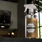 TriNova Plant-Based All Purpose Cleaner 2 Pack