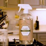 TriNova Plant-Based All Purpose Cleaner 2 Pack