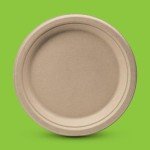 Eco-Friendly Compostable Plates - 100 Pack