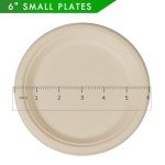 100 Count Compostable Dessert Plates - Eco-Friendly Design