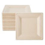 100 Pack Biodegradable Sugarcane Square Plates