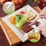 100 Pack Biodegradable Sugarcane Square Plates