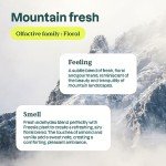 Eco-Friendly Liquid Laundry Detergent - Mountain Fresh