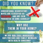 Biodegradable Bamboo All-Purpose Cleaning Wipes