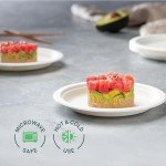 Eco-Friendly 7-Inch Compostable Paper Plates - 125 Pack