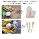 300pcs Eco-Friendly Compostable Plates and Cutlery Set