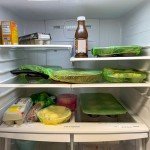 Reusable Elastic Food Storage Covers - 3 Sizes