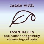 Mrs. Meyer's Clean Day Eco Hand Soap Set