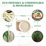 150 Eco-Friendly Compostable Paper Plates, 22.9 cm